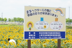 ひまわりの丘公園