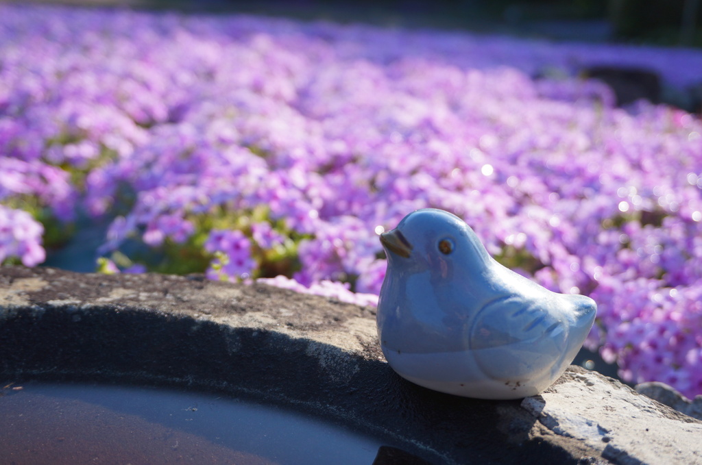 三木花のじゅうたん