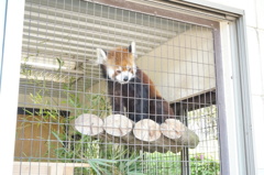 姫路市立動物園
