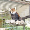 姫路市立動物園