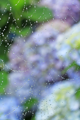 雨粒の装飾②