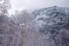 一応山へ来ました写真