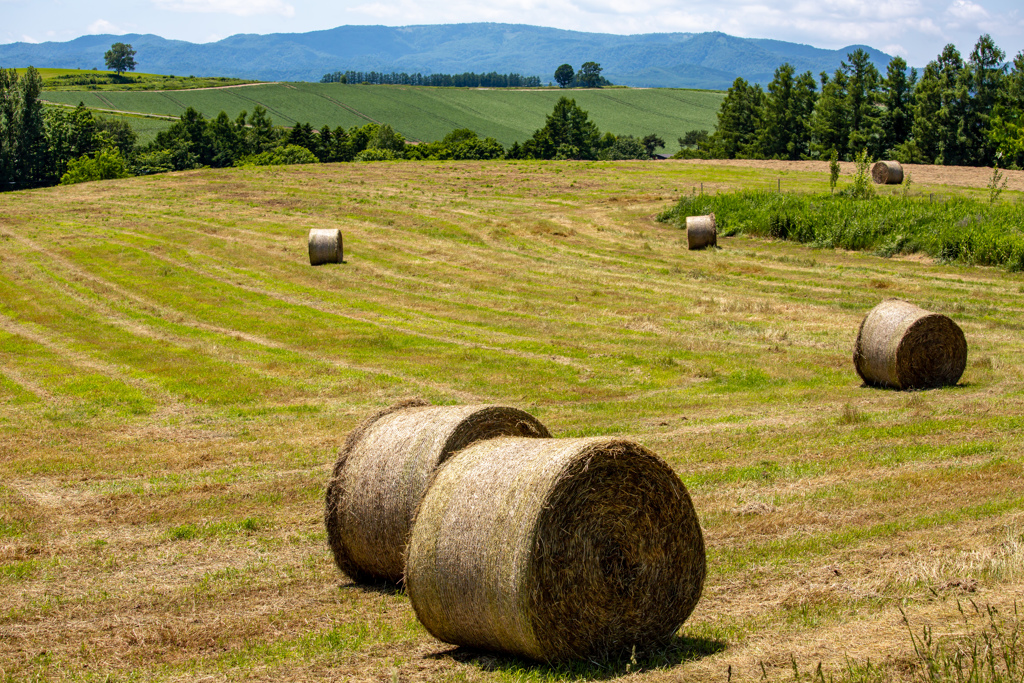 牧草ロール