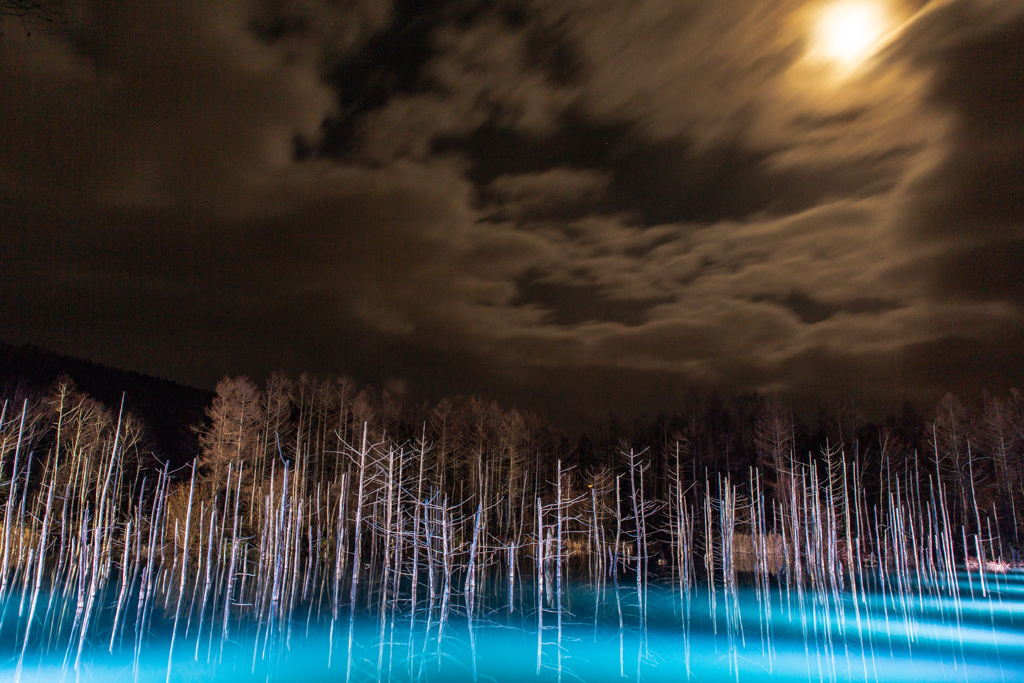 月夜 の青い池2