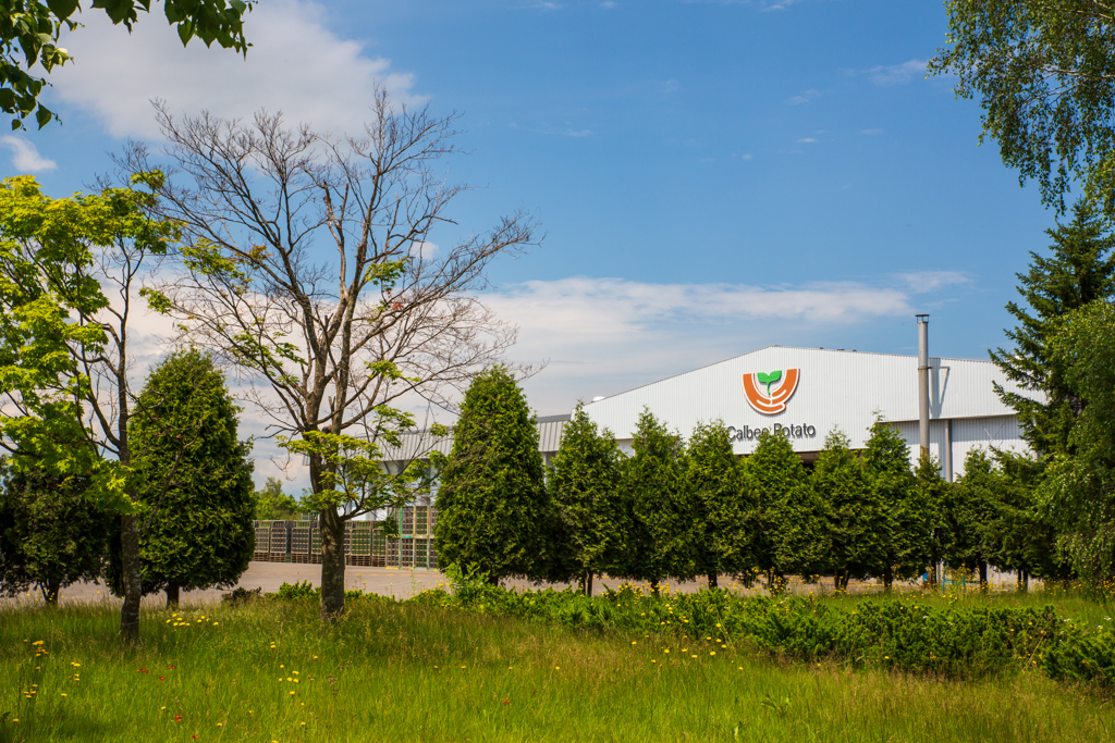 カルビーポテチ工場裏庭