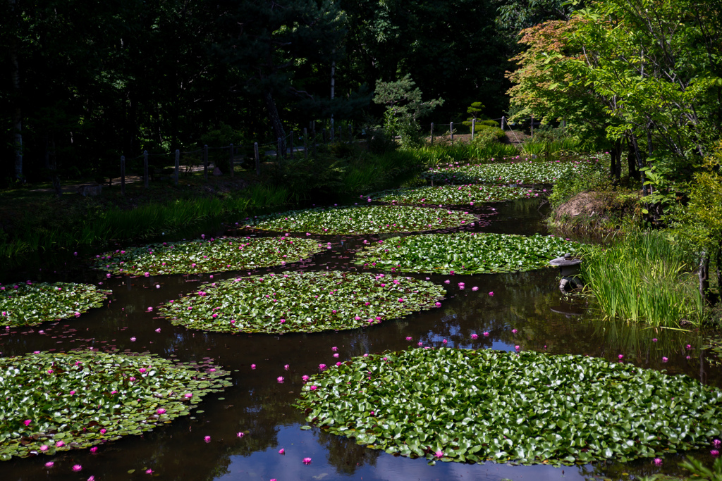 三浦庭園