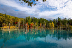 秋本番手前の青い池