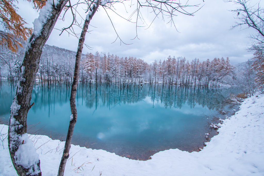 初雪二日目の青い池