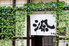 染物屋さんの朝顔　4