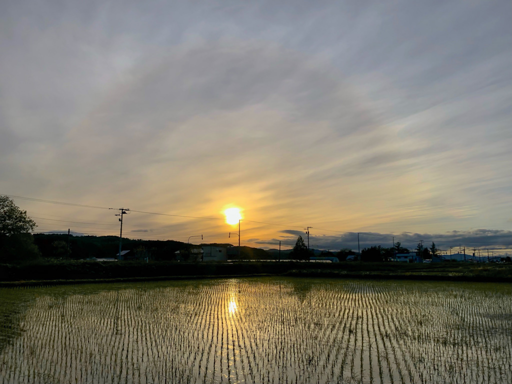 久しぶりの太陽
