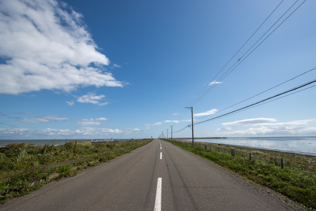 これから進む道