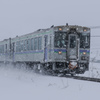 なごり雪にしては多すぎる
