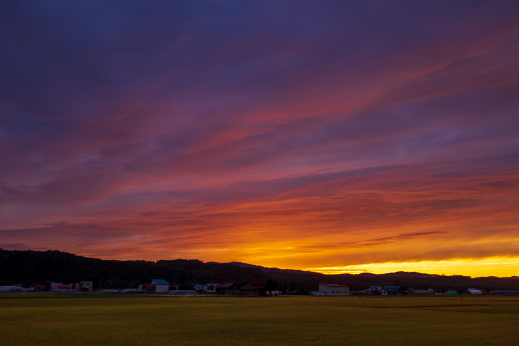 田んぼの夕暮れ