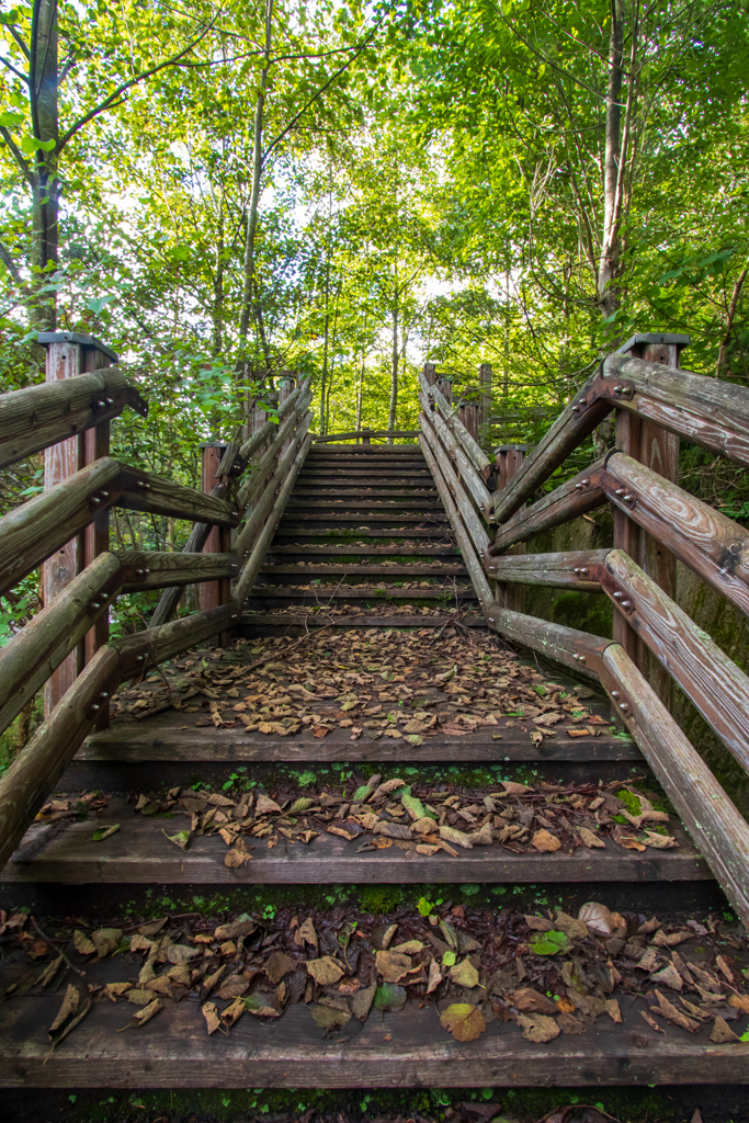 枯れ葉散る階段