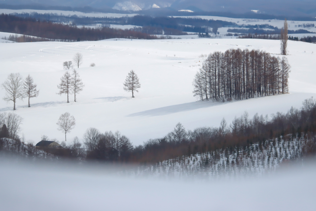 地吹雪