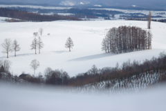 地吹雪