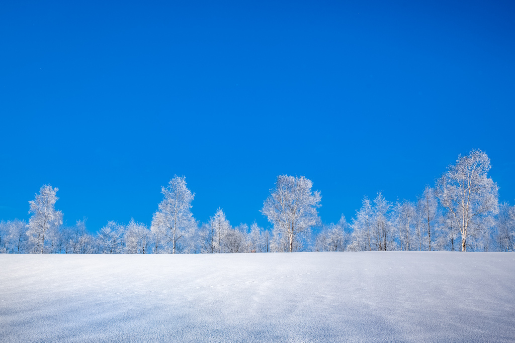 私をスキーに連れてって