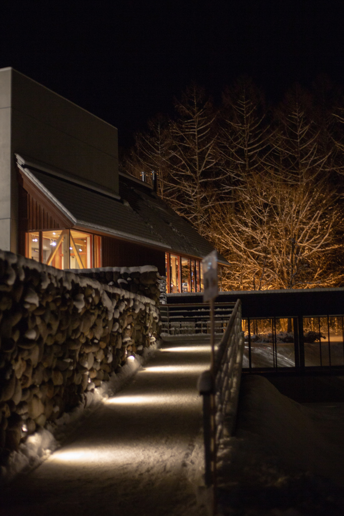 妖精の森の階段