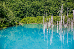 夏の青い池