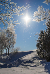 快晴の雪