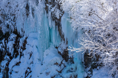 樹氷と青いつらら