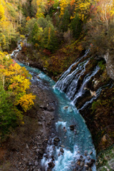 秋の白ひげと川の流れ