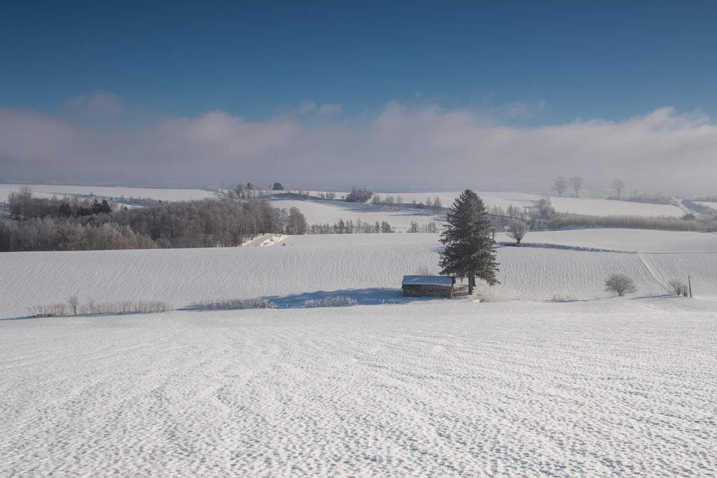 霧が上がりはじめて見える畑の融雪模様