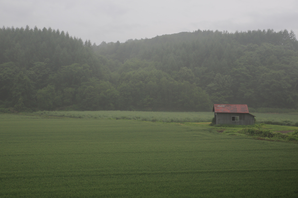 本当に私を愛してくれる人なら こんな小屋でも