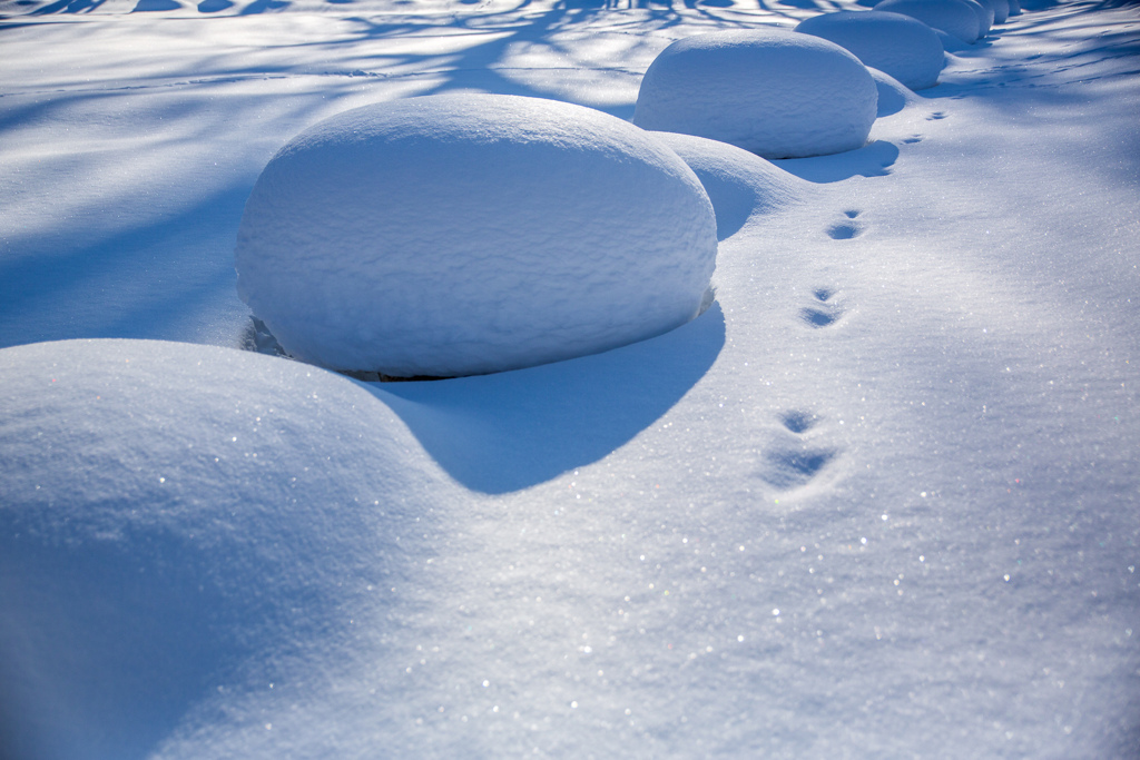 キラキラ光る雪見大福ソーダ味