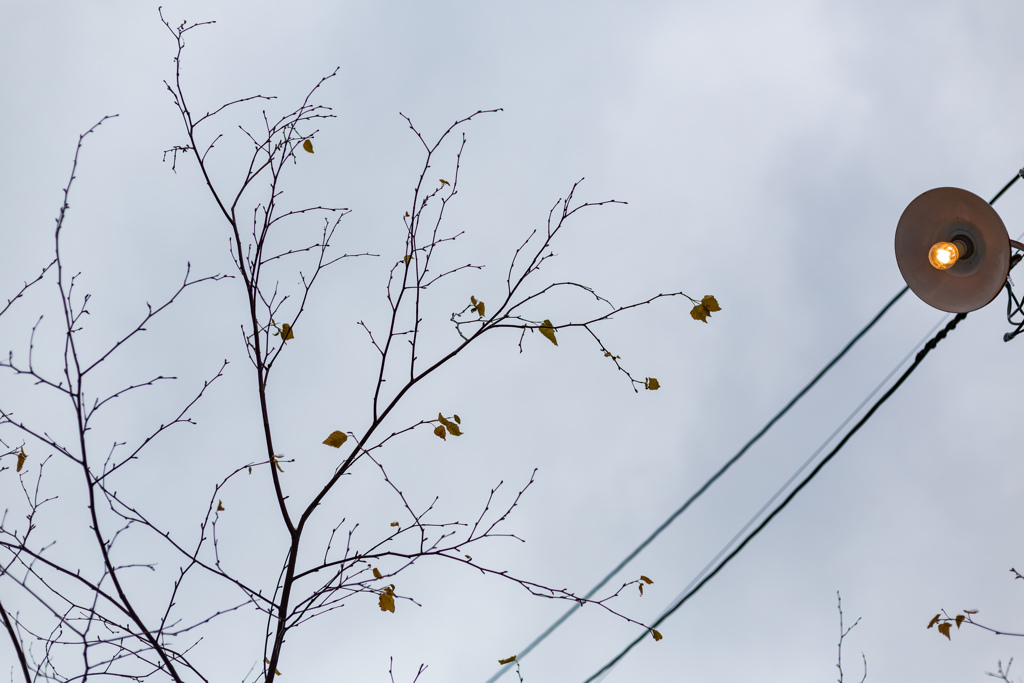 木枯らし吹く冬空