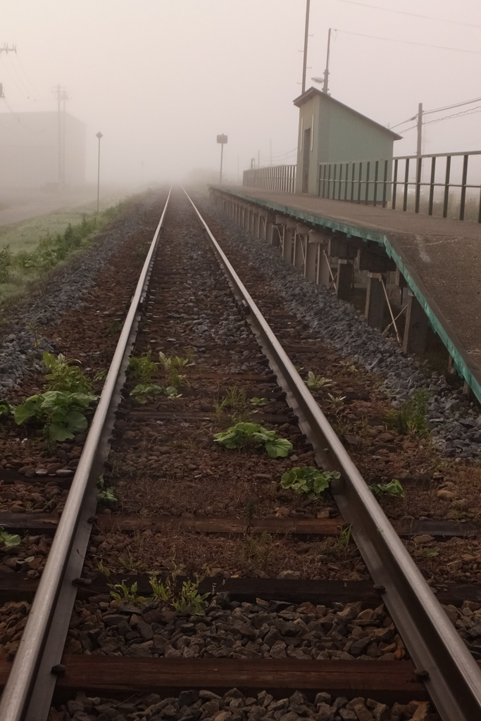 霧の富良野線