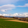 山の残雪と麦畑
