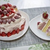 崩れたパーティケーキ