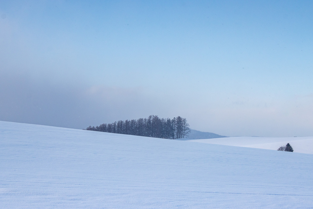 晴れそうで晴れない通り雪