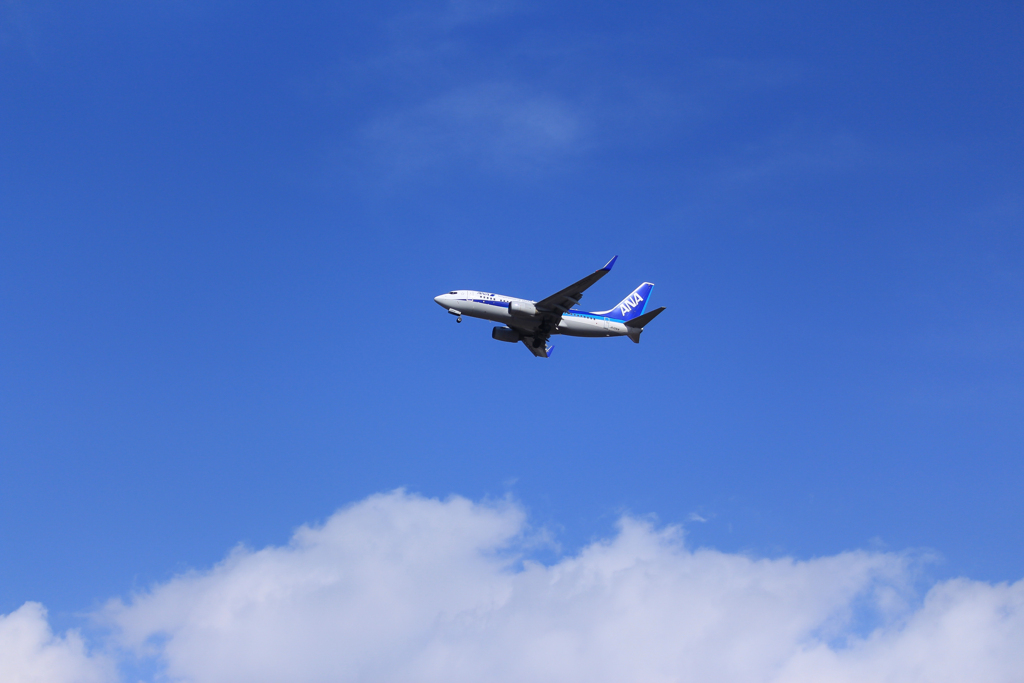 青空とANA