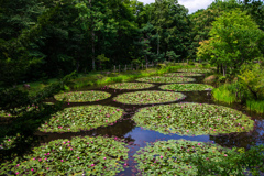 三浦庭園全景