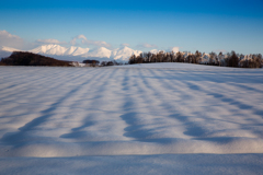 雪解けの畑の模様