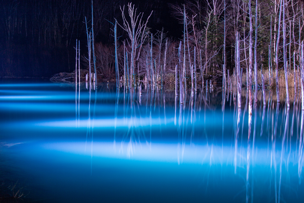 雪を待つ青い池