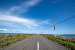 今年こそ1番狭い道で撮ろう