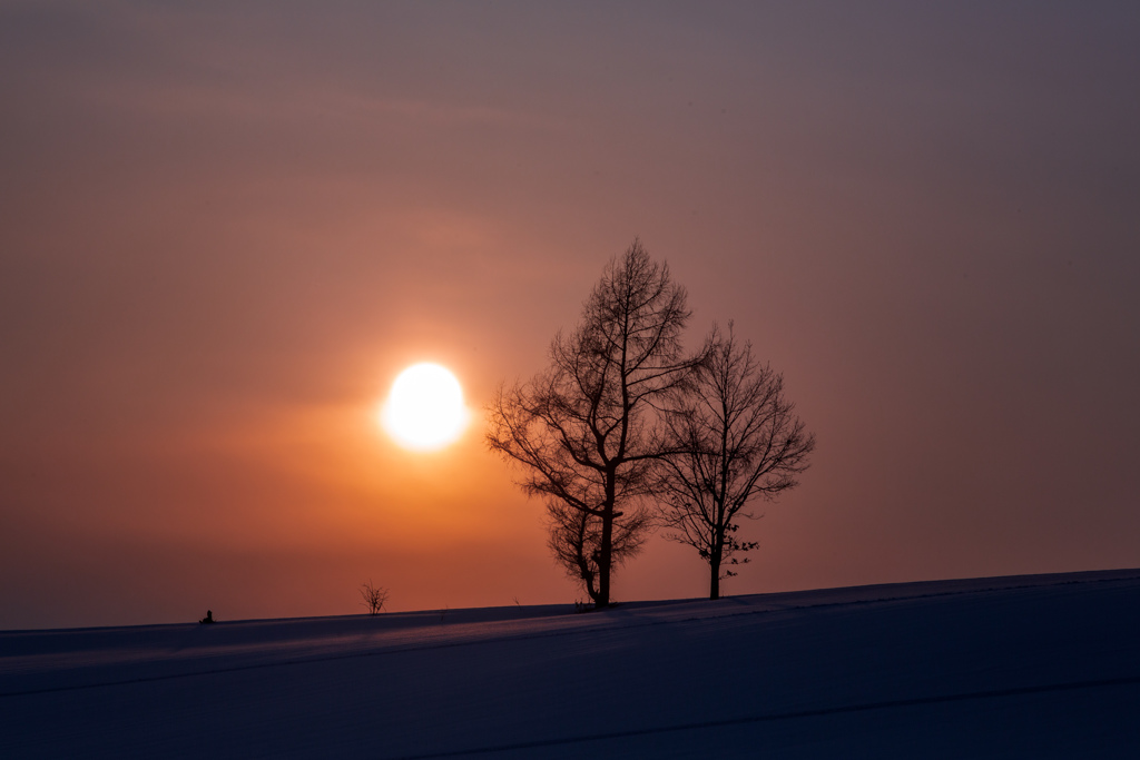 あの日の夕焼け