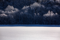 雪のレフ板と樹氷