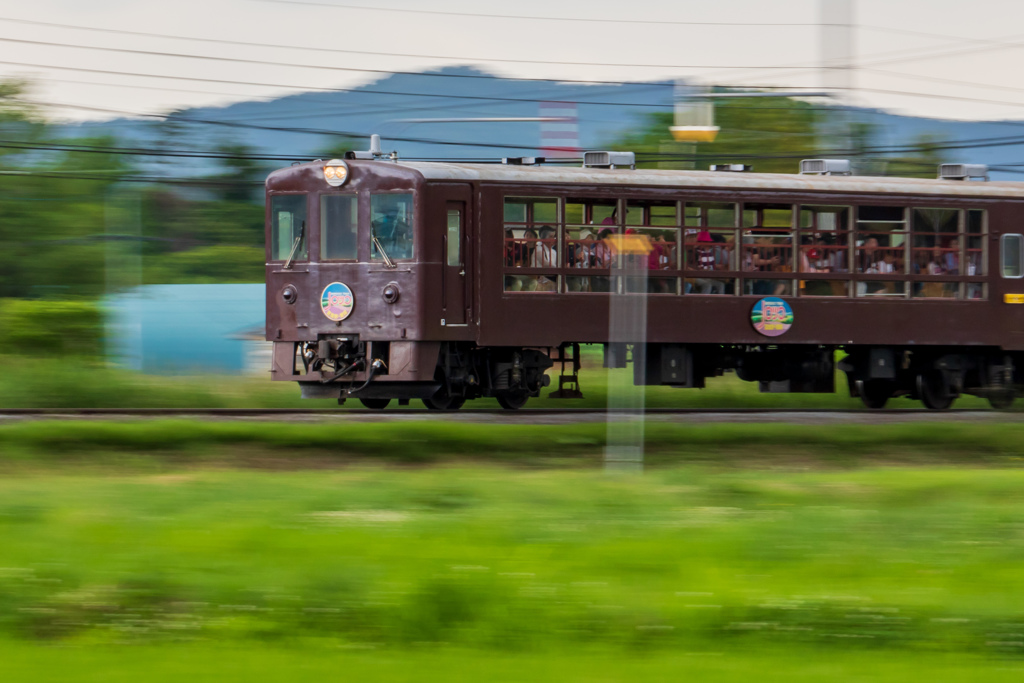 ノロッコ号のお尻