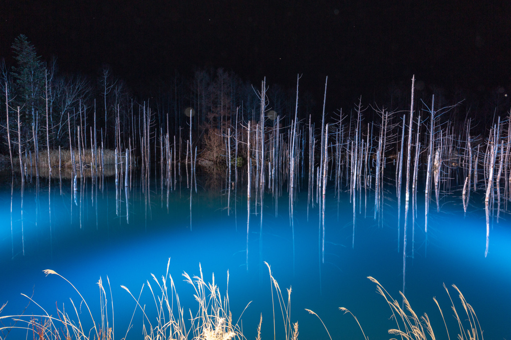 ススキと青い池