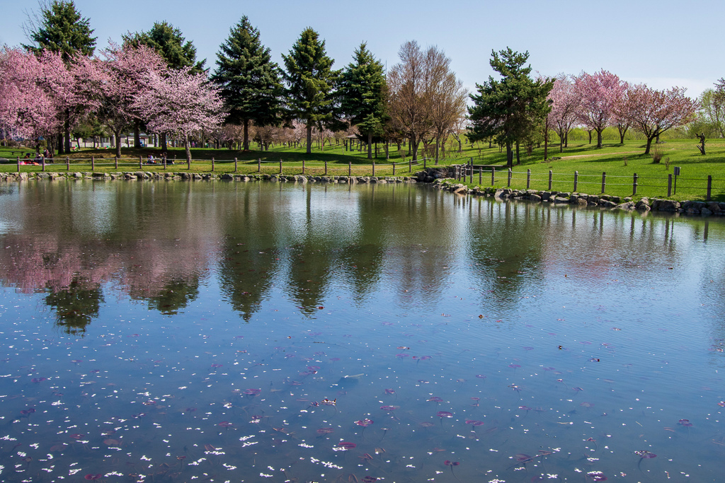 近所の公園