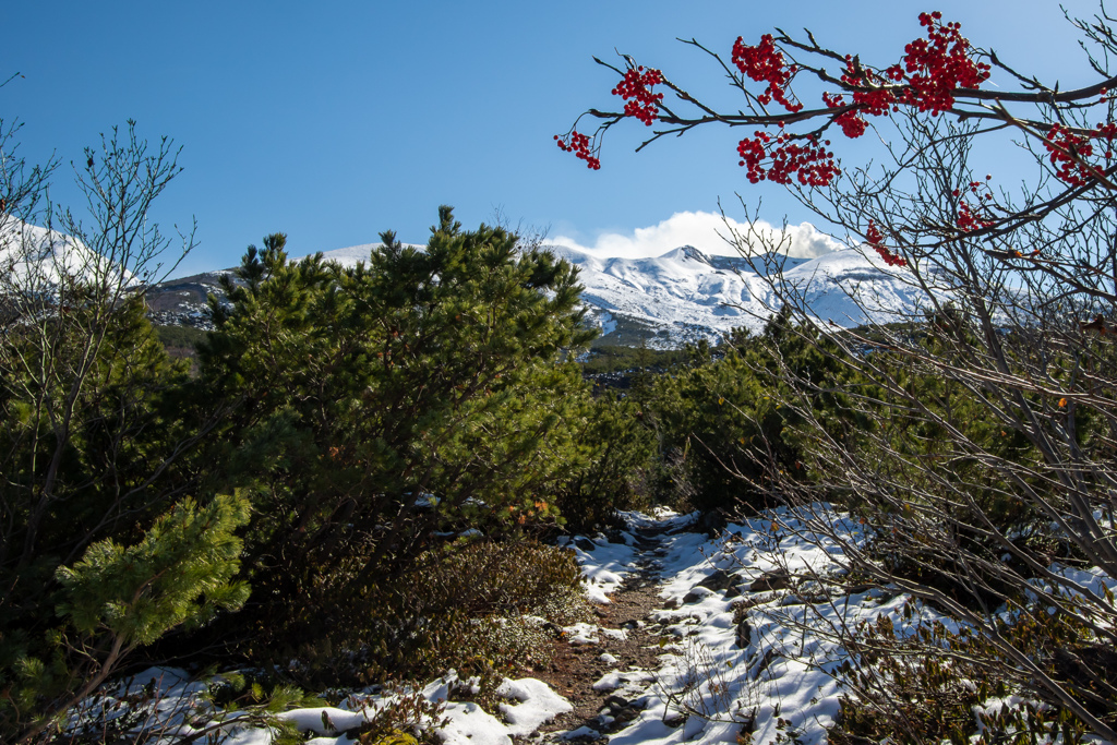 最後のプチ登山