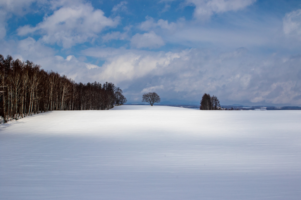 雪原を走る雲