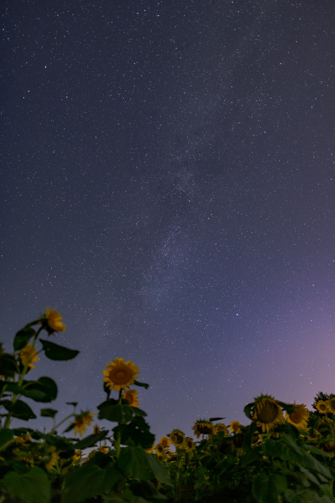 月夜の天の川