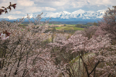 中々見えなかった山