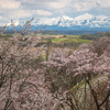 中々見えなかった山