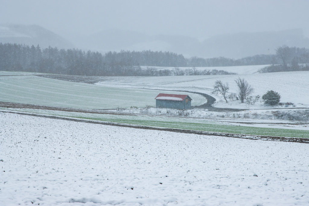 吹雪の赤い農機具小屋